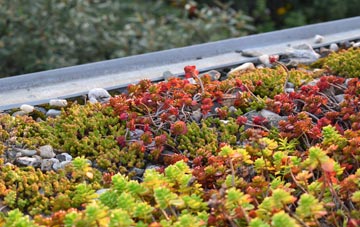 the cost of Wistow green roof installation