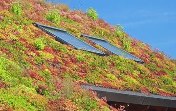 Wistow living roof systems