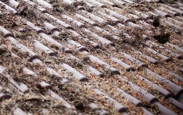 Wistow roof cleaning companies